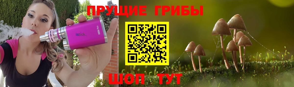 купить   Псилоцибиновые грибы Psilocybe  Волжск  Вход с VPN  Псилоцибиновые грибы GOLDEN TEACHER 